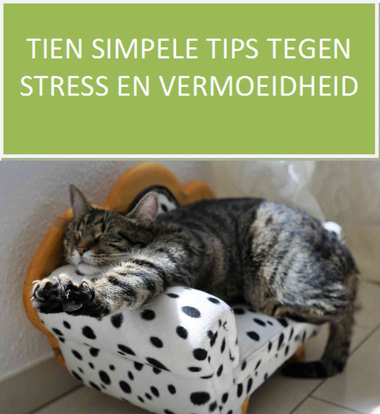 tien tips foto groot